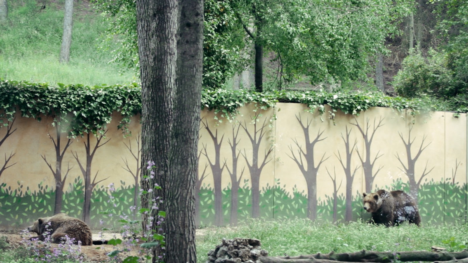 Lead Image Still From Estereotipia (stereotypy) By Inés Espinosa (1)